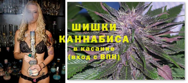 прущие грибы Аркадак