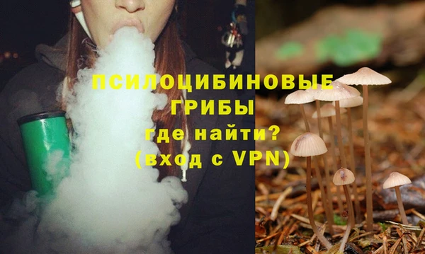 прущие грибы Аркадак
