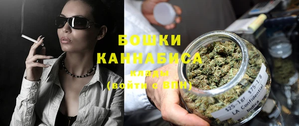 прущие грибы Аркадак
