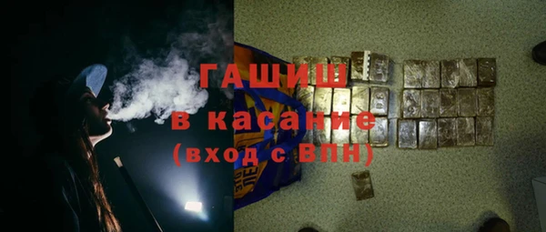 прущие грибы Аркадак
